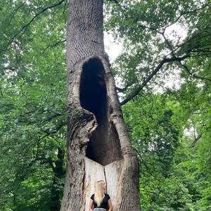 Meet your Posher, Ada